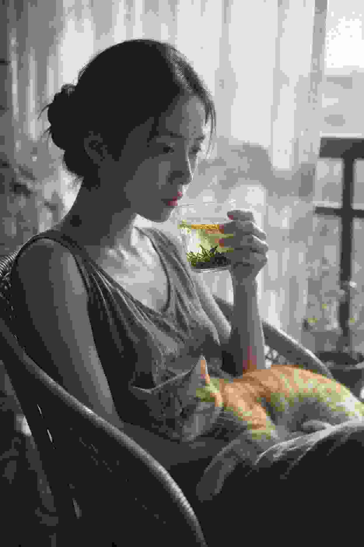 御兽记